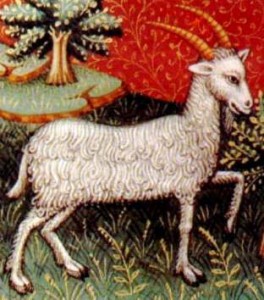 15th_century_manuscript_of_capricorn